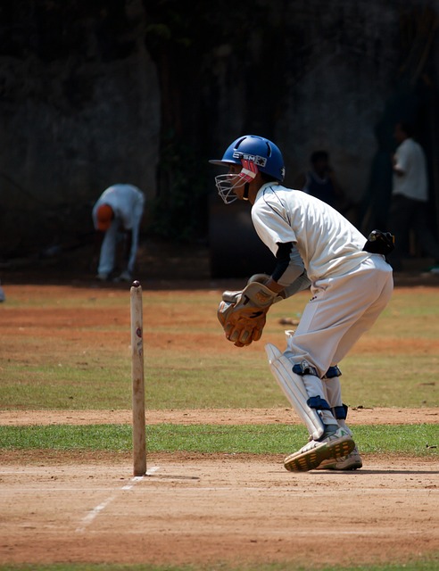 The Influence of Seasonal Variations on Cricketing Strategies and Player Performance